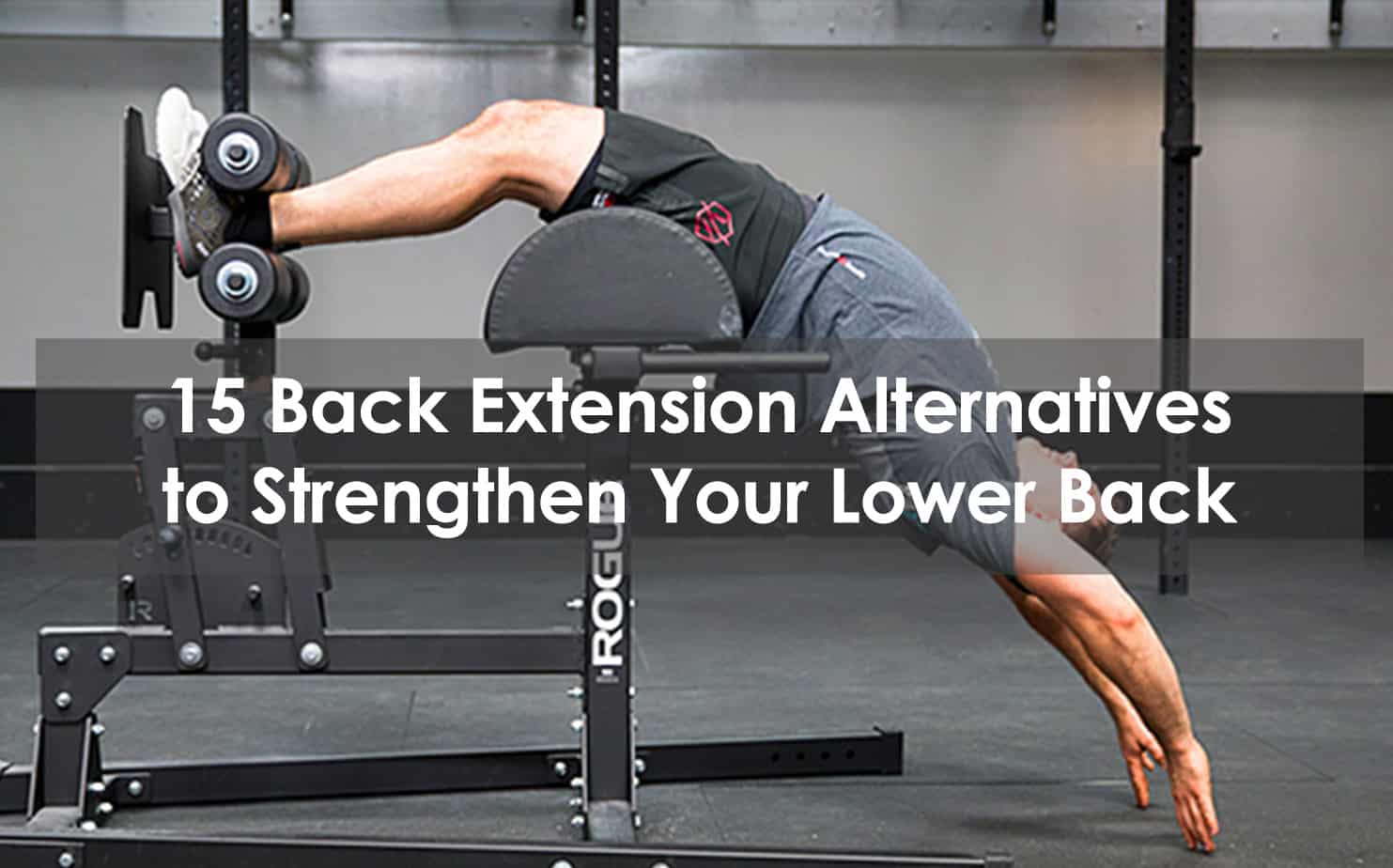 13 Best Back Extension Alternatives (With Pictures)